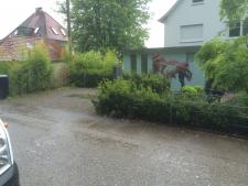 20 IMG 2524
